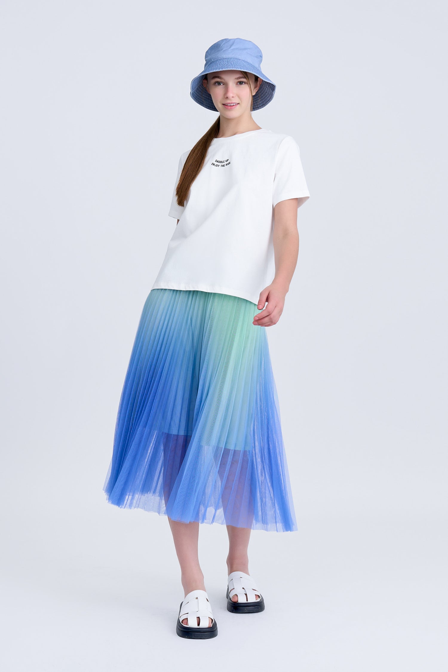 Gradient Pleated Mesh Skirt