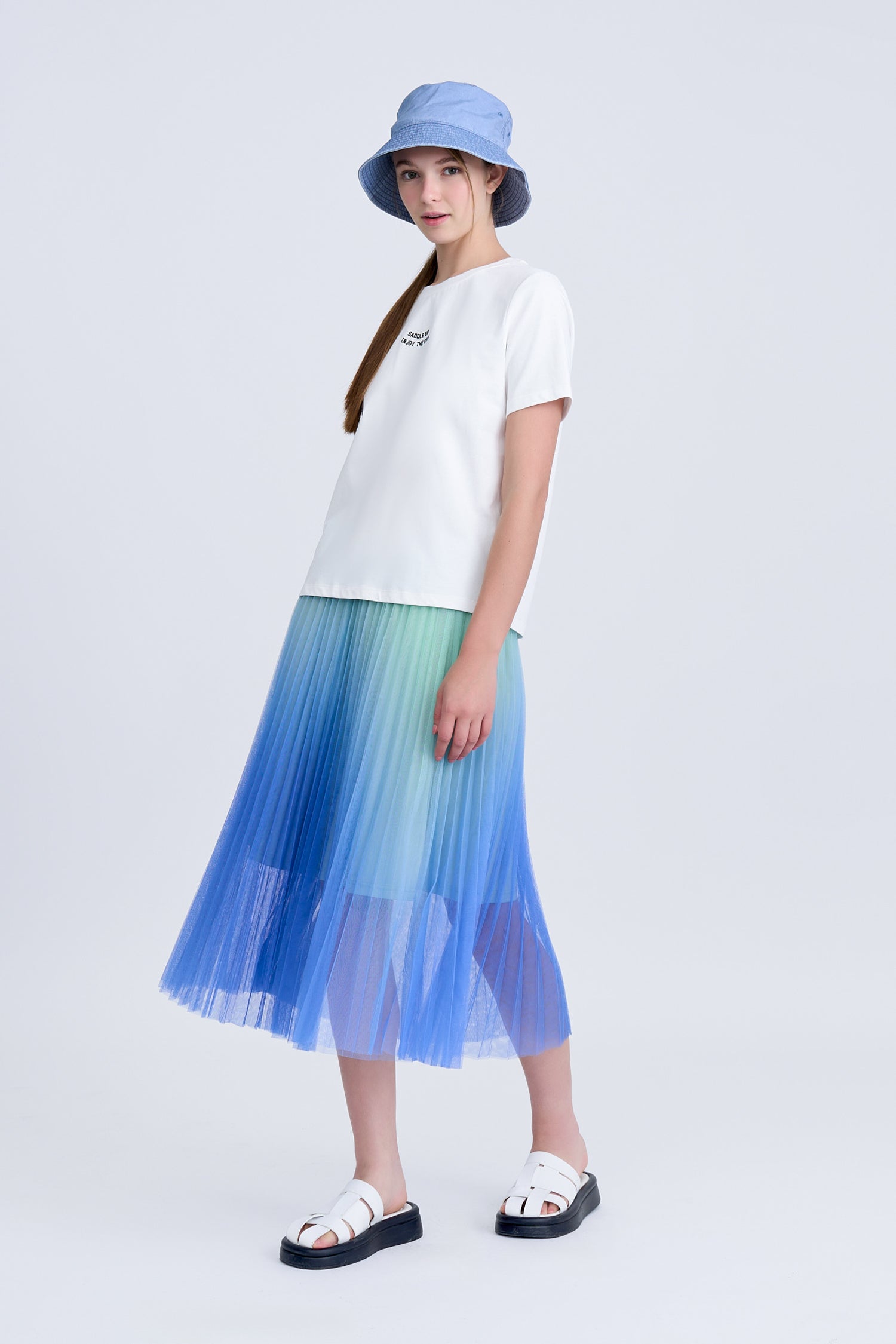 Gradient Pleated Mesh Skirt